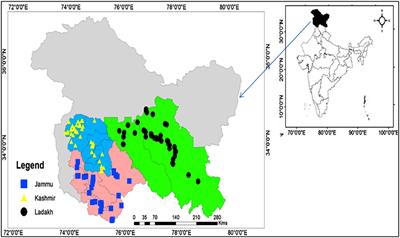 Quantitative ethnoveterinary study on plant resource utilization by indigenous communities in high-altitude regions